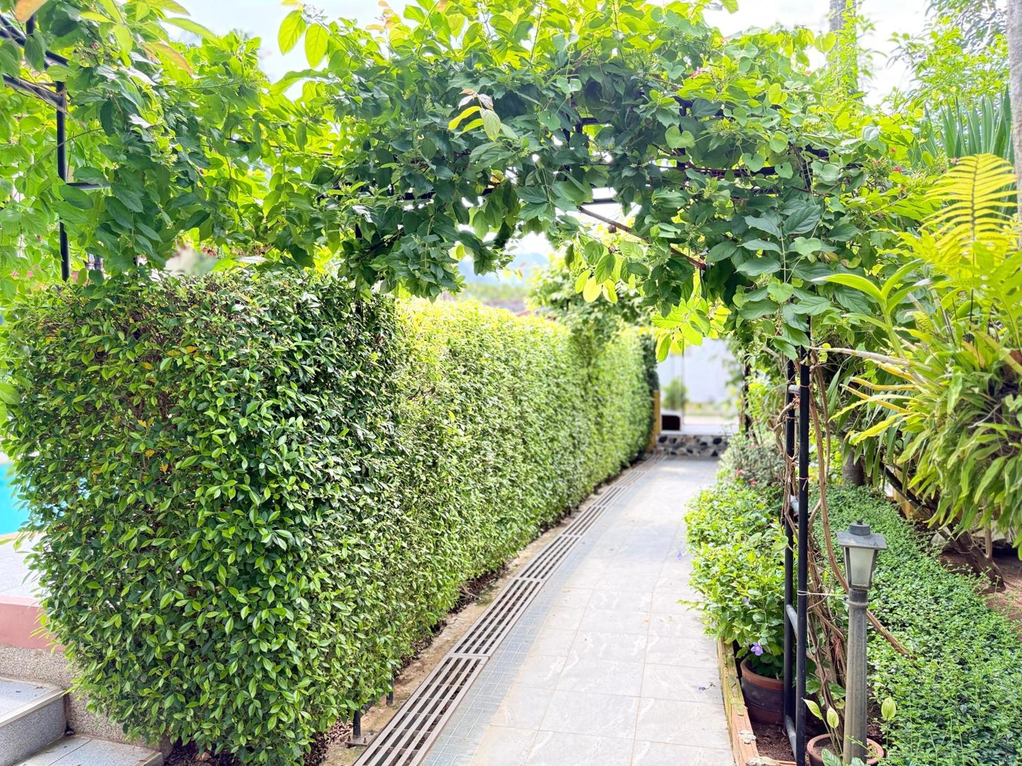 Family Bungalow Kamala מראה חיצוני תמונה